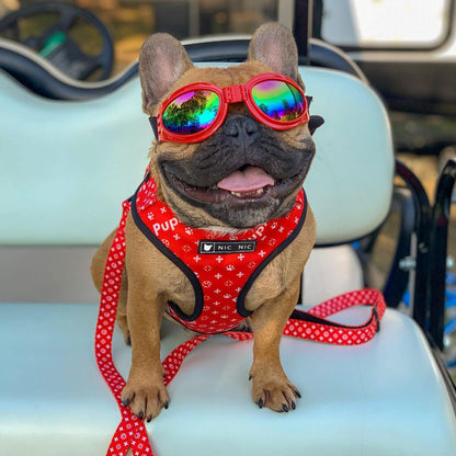 Breathable Mesh Leash and Harness set Sitandpawz.com