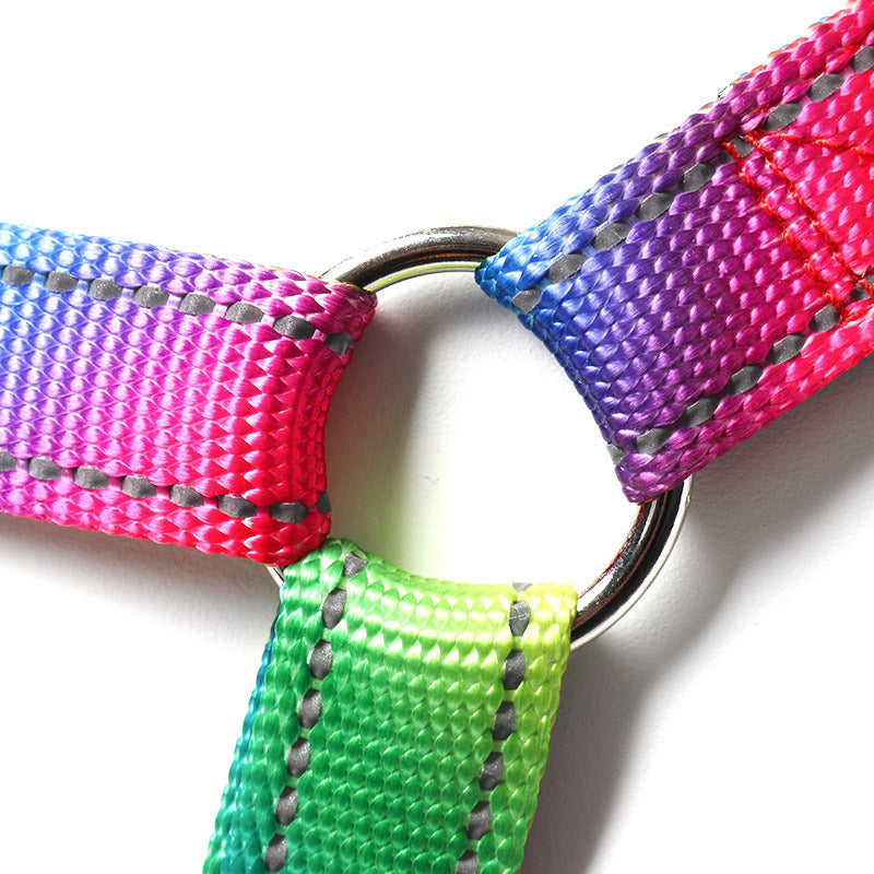 Rainbow collar,leash and harness set Sitandpawz.com