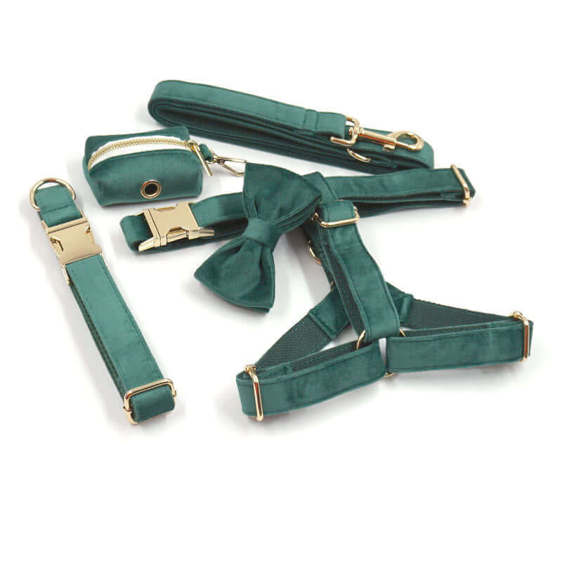 Green Velvet Dog Collar Leash and harness set Sitandpawz.com