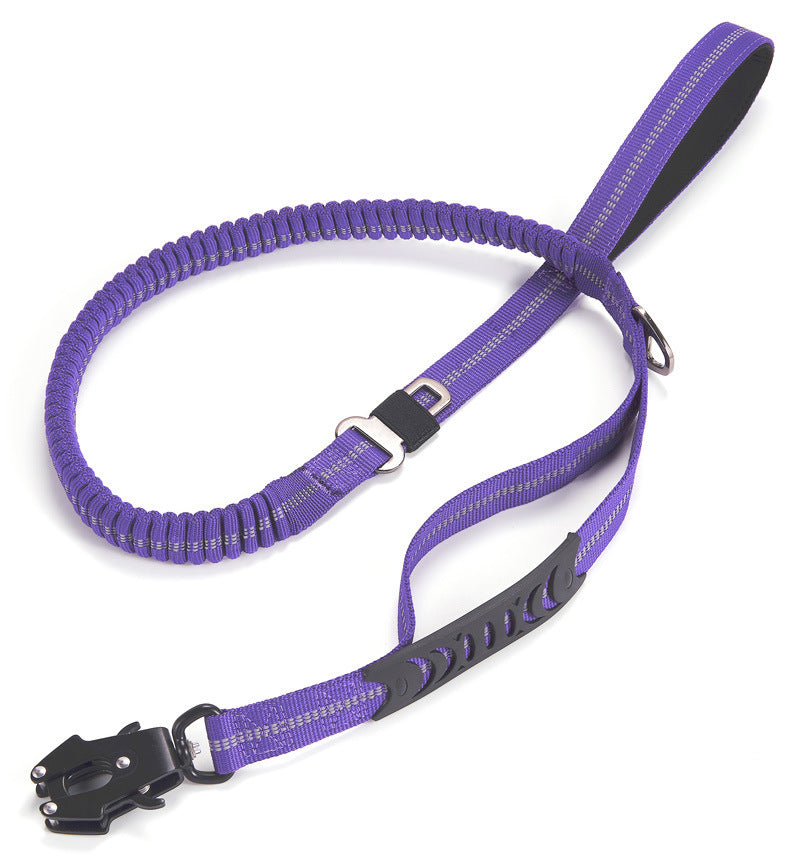 Buckle Leash Sitandpawz.com