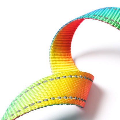 Rainbow collar,leash and harness set Sitandpawz.com