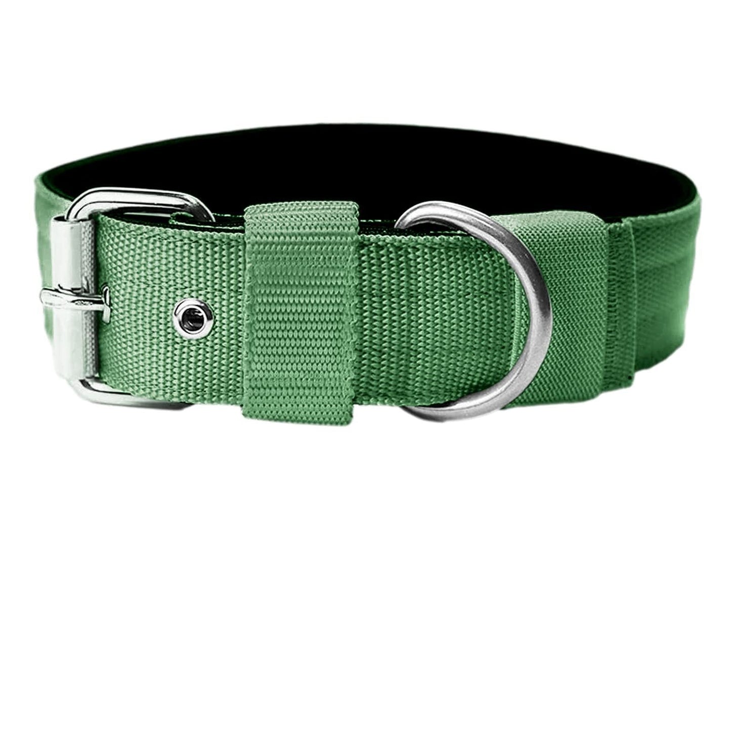 THICK DOG COLLAR Sitandpawz.com