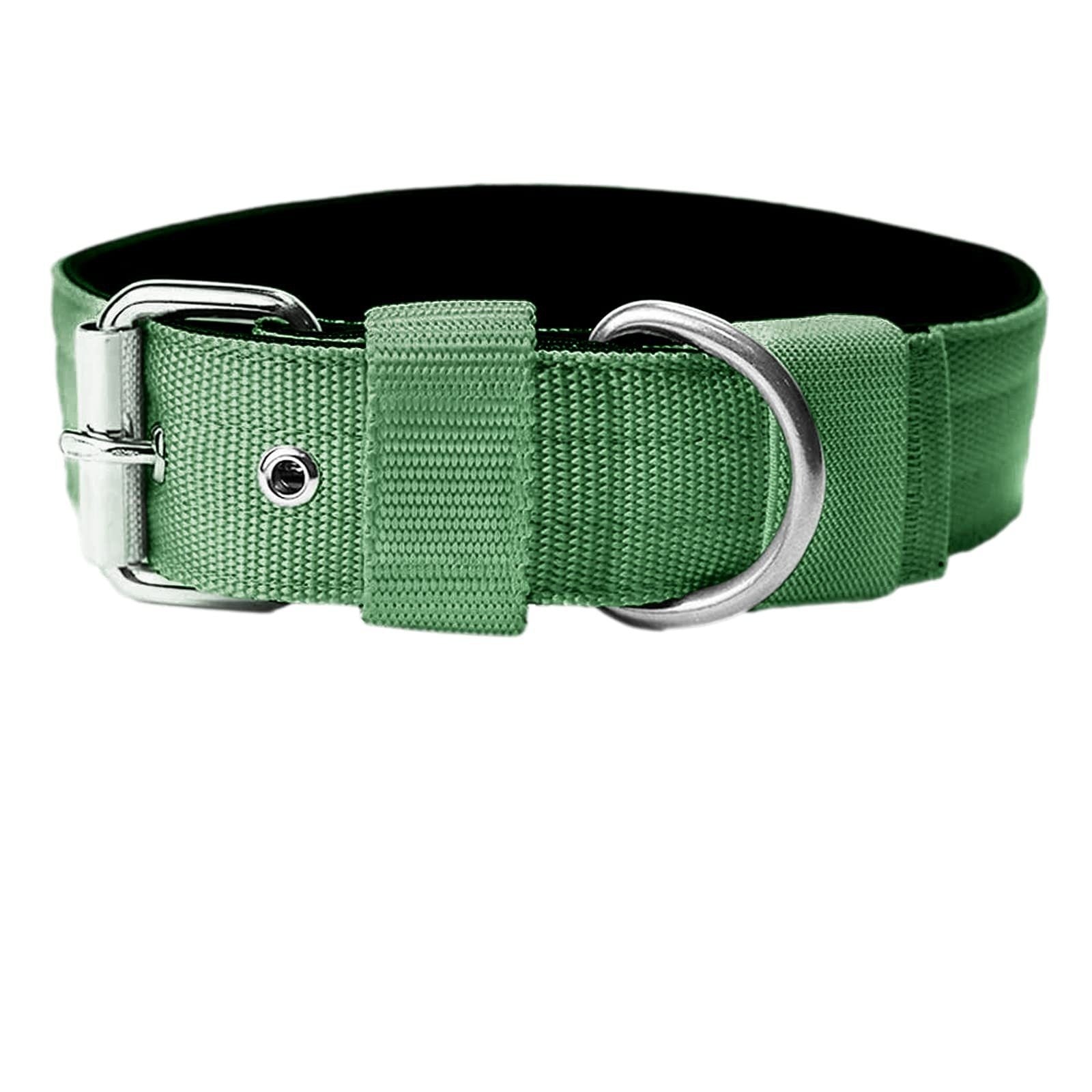 THICK DOG COLLAR Sitandpawz.com